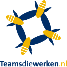 Teamsdiewerken.nl